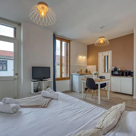 Le Cosy Des Tournelles - Gare De Grenoble - Fibre Apartment Exterior photo