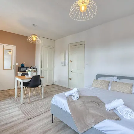 Le Cosy Des Tournelles - Gare De Grenoble - Fibre Apartment Exterior photo
